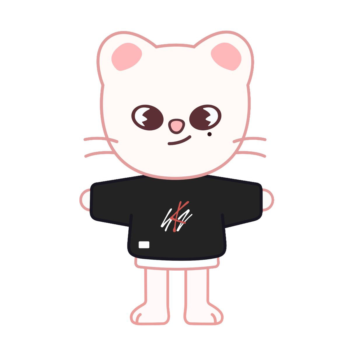 Ferret Skzoo